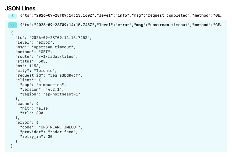 api-requests.jsonl with record 6 expanded as indented JSON, showing an upstream timeout error.